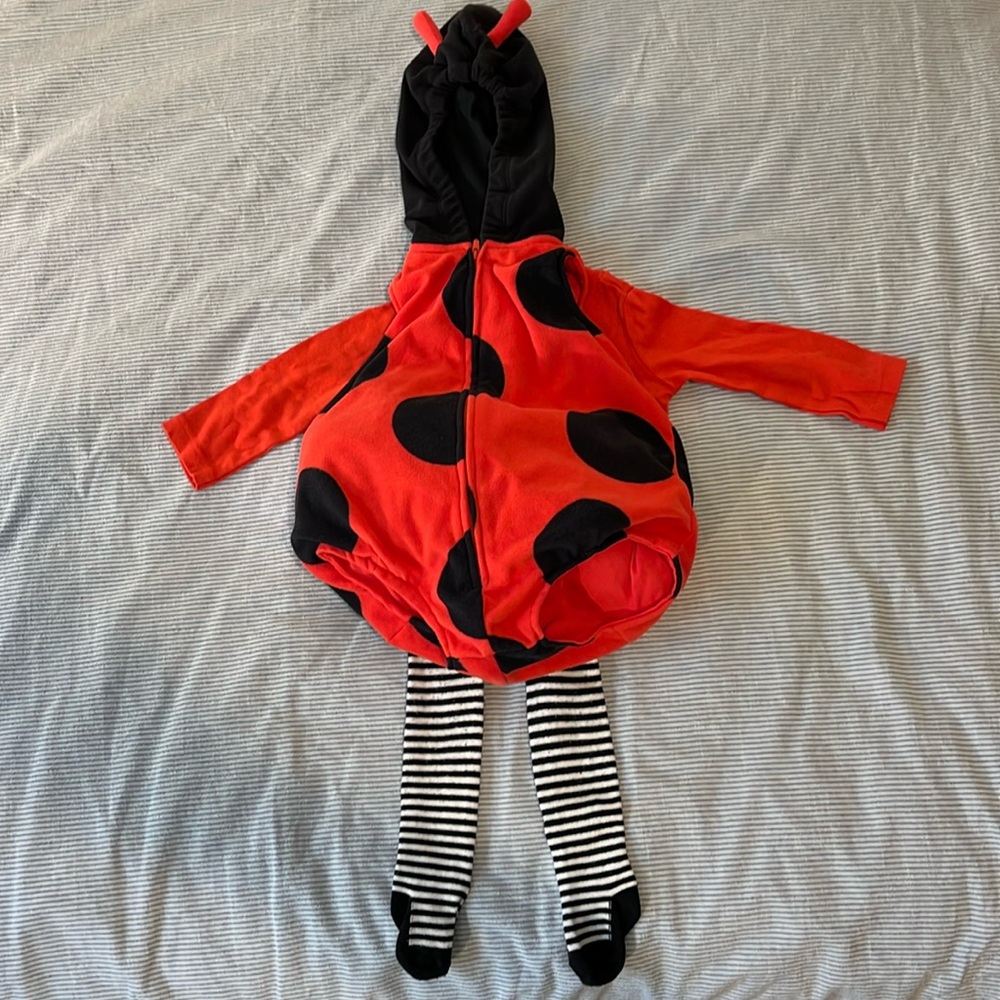 Ladybug costume